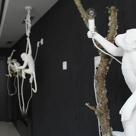 穆沙舒酒店 3* 马塞杜-迪卡瓦莱鲁什