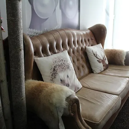 穆沙舒酒店 酒店 马塞杜-迪卡瓦莱鲁什