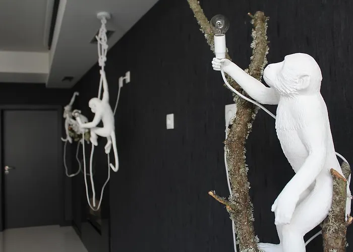 Muchacho 3* Macedo de Cavaleiros