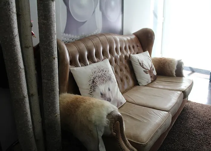 Muchacho Szálloda Macedo de Cavaleiros